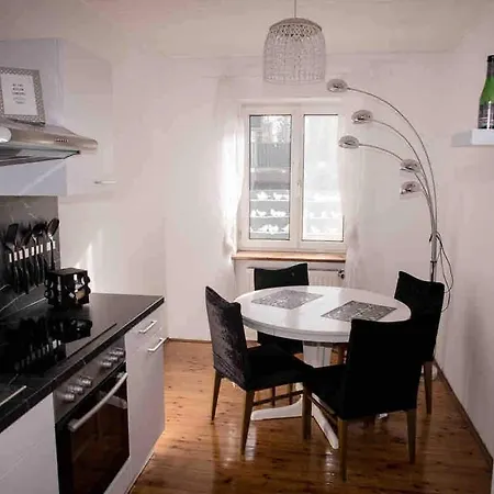 Apartment Naehe Der Innenstadt Mit Parkplatz *